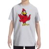 Youth DRI-POWER® ACTIVE T-Shirt Thumbnail