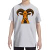 Youth DRI-POWER® ACTIVE T-Shirt Thumbnail