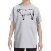 Youth DRI-POWER® ACTIVE T-Shirt Thumbnail